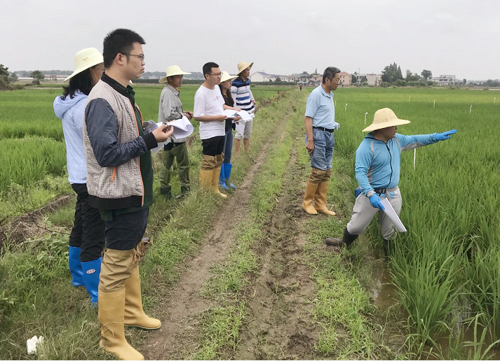 泰禾國際自主創(chuàng)新新品迎來年內首輪大考