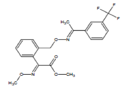 1539147457975402.png 15.png